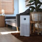 Ce trebuie să știm despre umidificatoare și dezumidificatoare în spațiile interioare